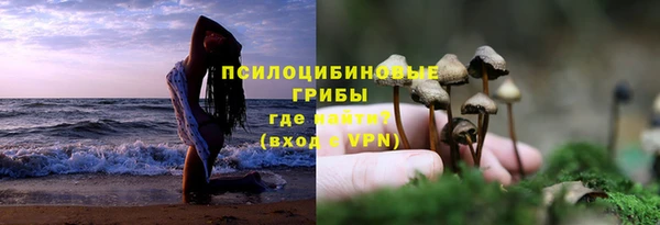сатива Алексеевка