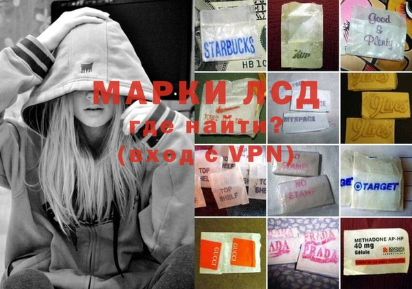 сатива Алексеевка